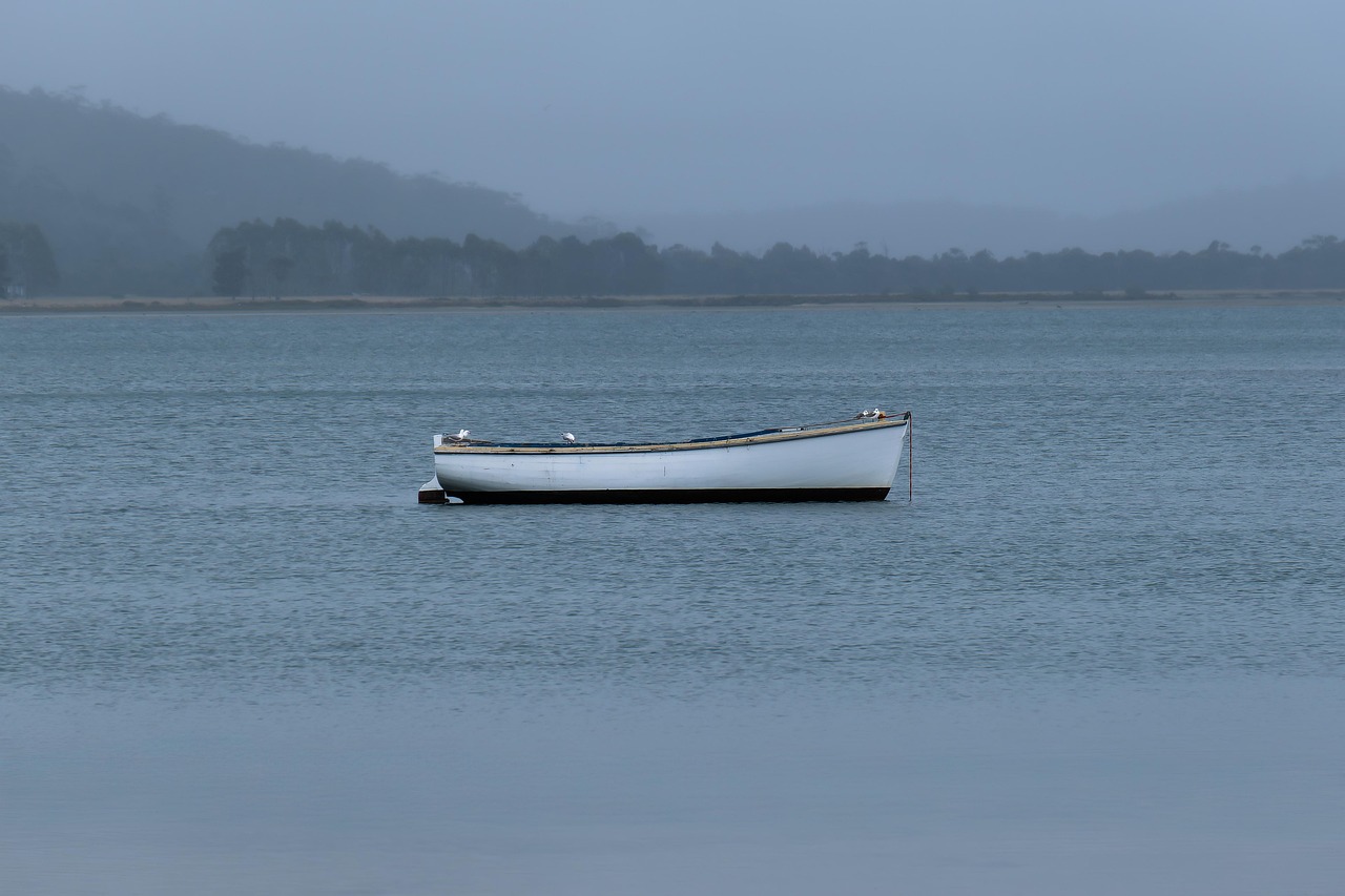 RIB-tur København illustration