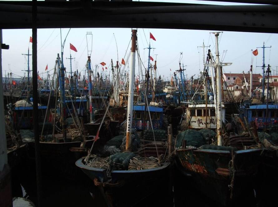 RIB-båd på åbent hav med passagerer ombord.