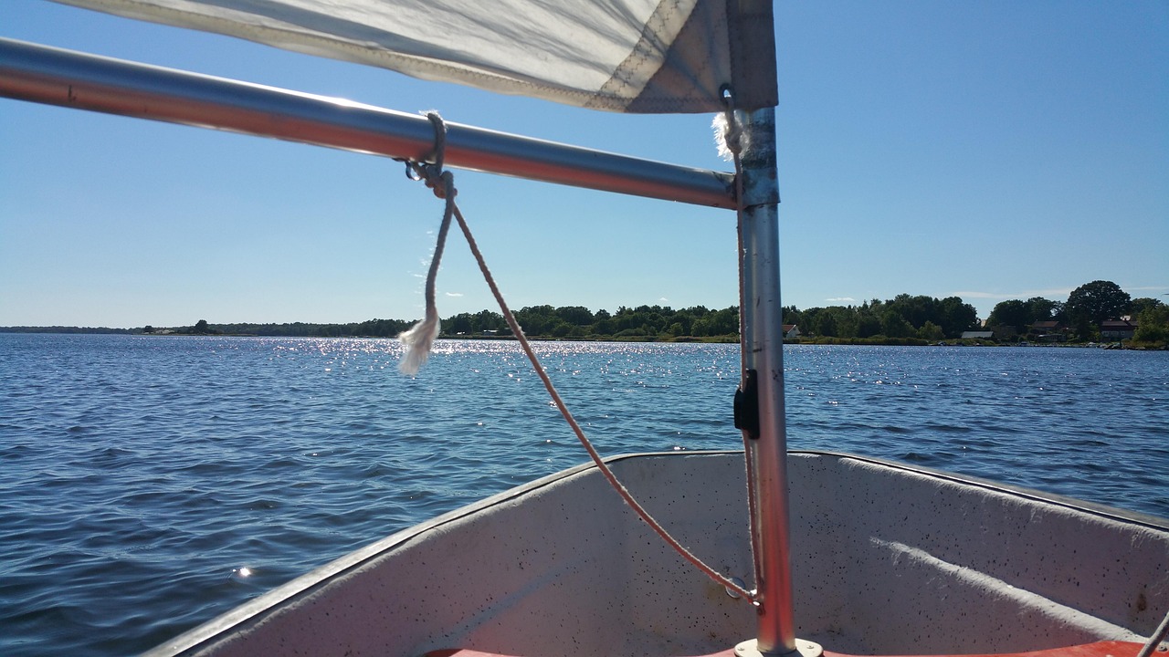 naturoplevelse fra havet illustration