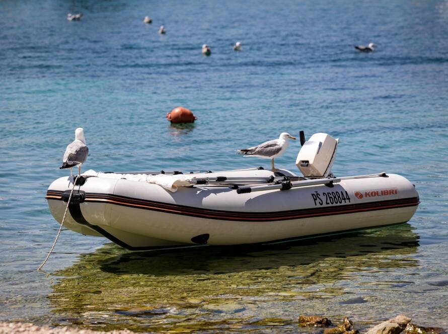 RIB-båd på åbent hav med passagerer ombord.